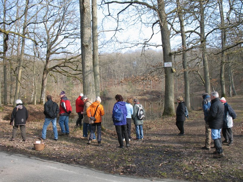 Lichens forestiers 3.3.2013 061